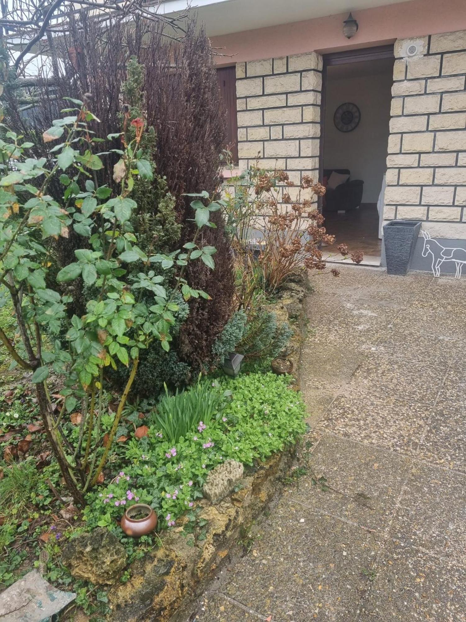 Bel Appart F2-5 Mn Aeroport D'Orly Paray-Vieille-Poste Eksteriør billede